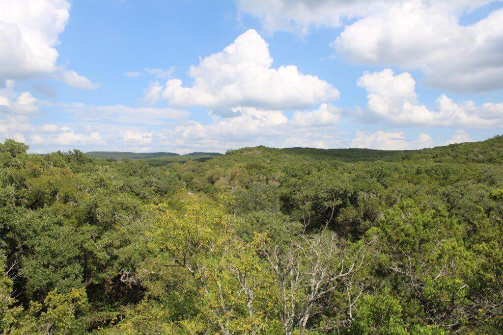Government Canyon State Natural Area 1024x683 (1)