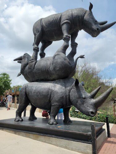 San Antonio Zoo 375x500 (1)
