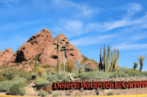 Desert (1)