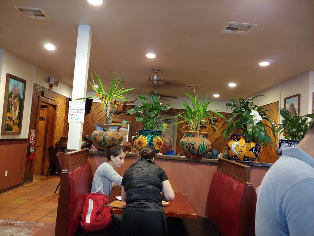 Los pinos (1)