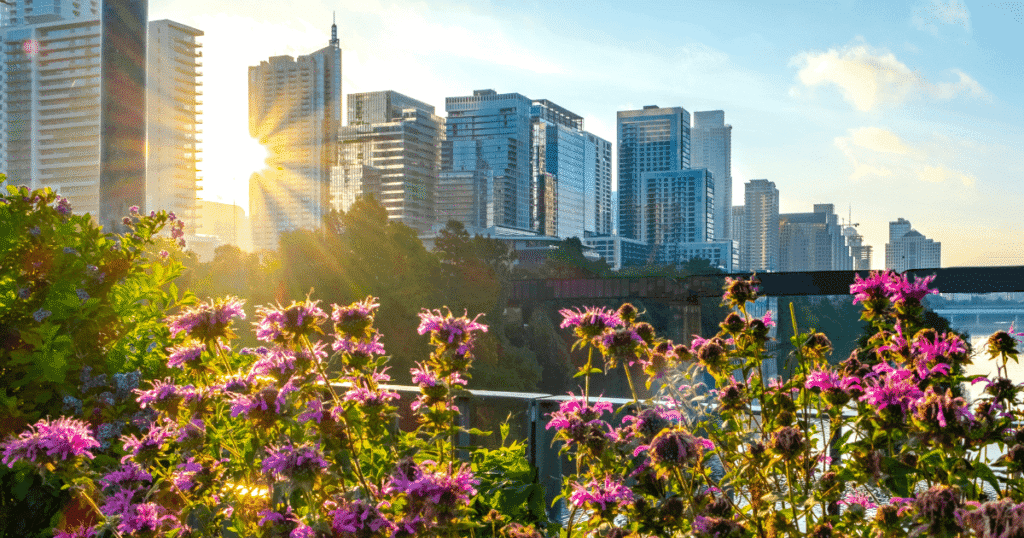 Austin Texas skyline